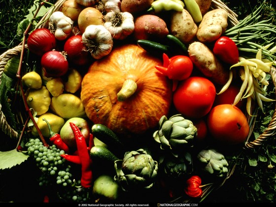 2800.Pics-National.Geographic.Photo_.Of_.The_.Day_.Collection._2001-2009_-SaFTaZeeN-301.jpg_autumn-produce-533154-lw-560x420