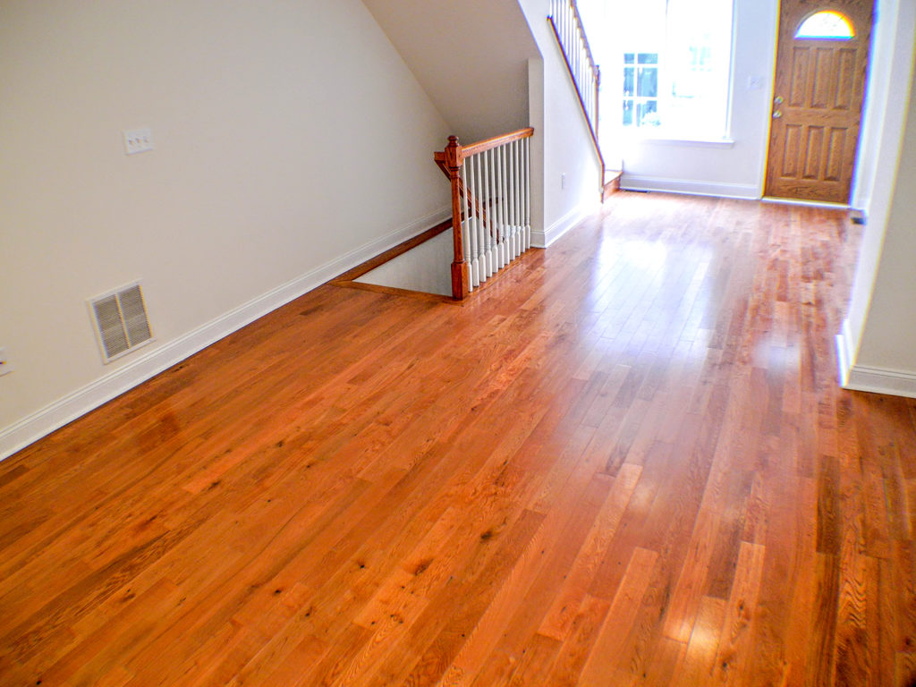 Property Photo For 1006 S. Cleveland St