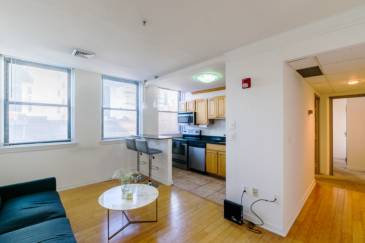 Property Photo For 1939 Chestnut St, Unit 3B
