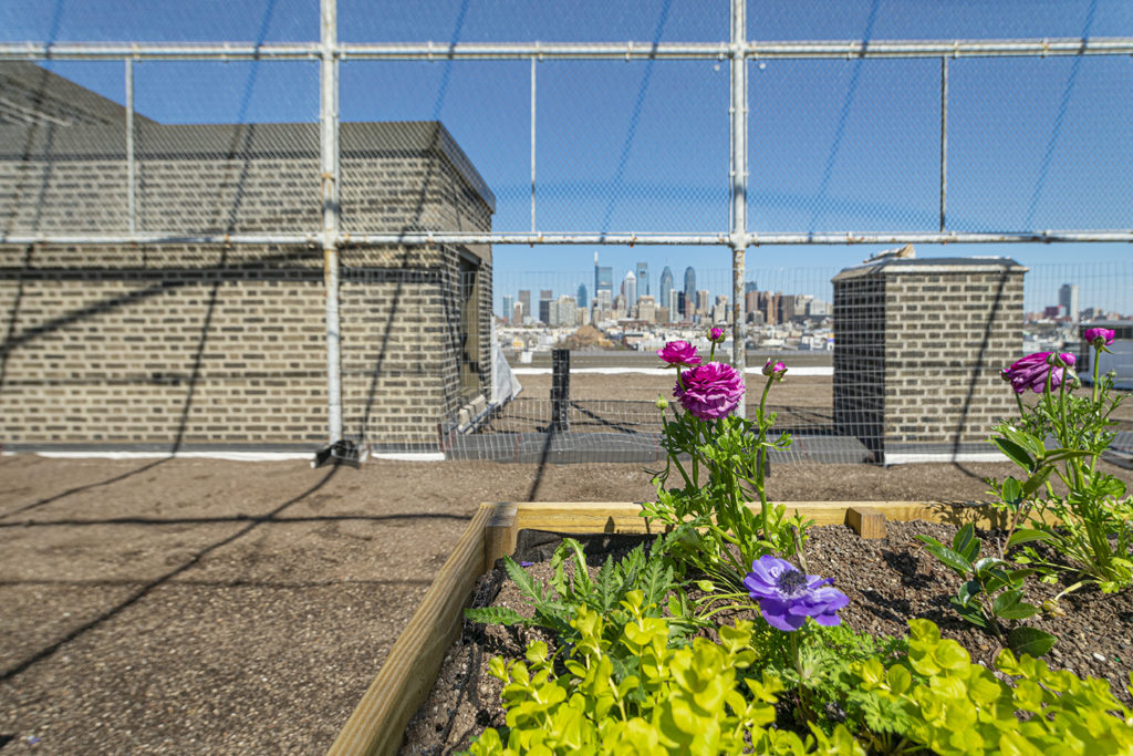 Property Photo For 1300 S. 19th St, Unit 112