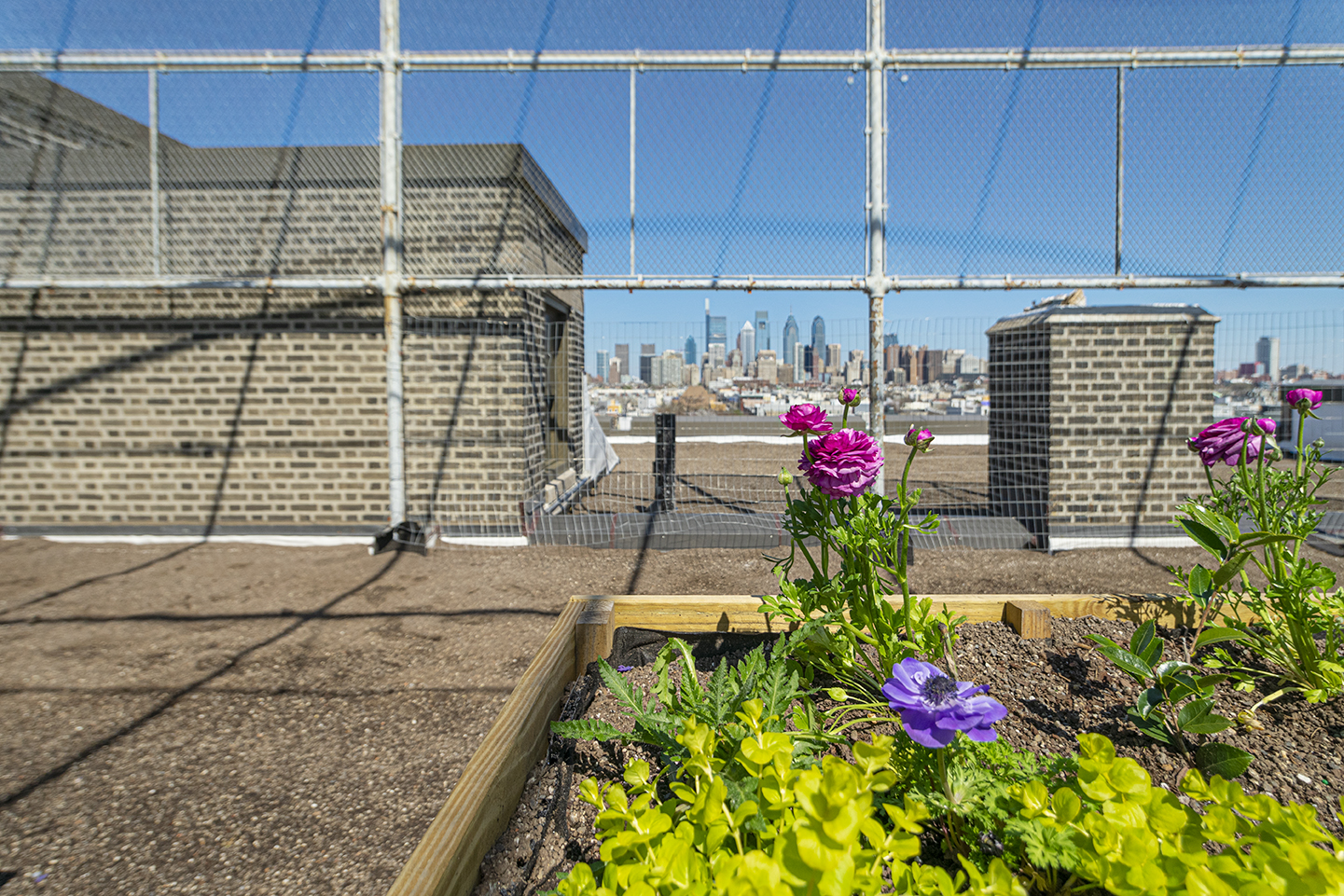 Property Photo For 1300 S. 19th St, Unit 307