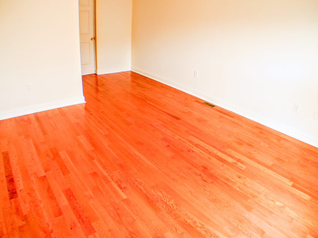 Property Photo For 1006 S. Cleveland St
