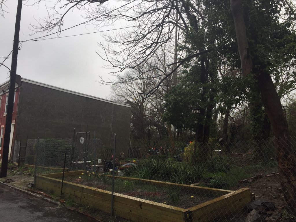 Community Garden Across The Street