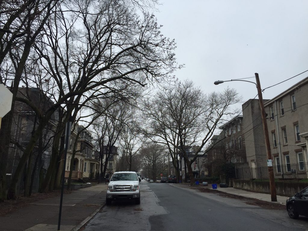 Looking West On Baring Street