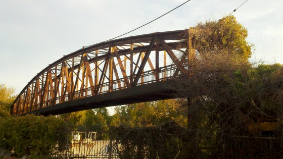 Reed-bridge-3-560x315