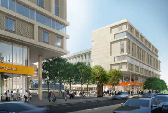 Chestnut Renderings close