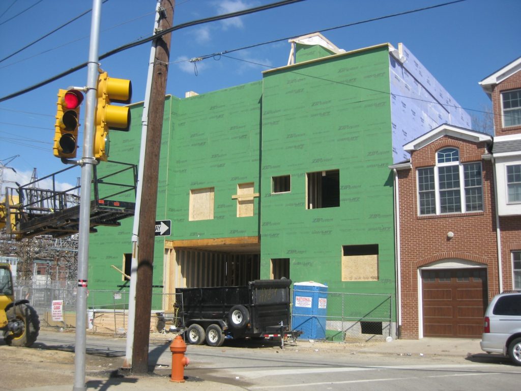 carp and grays 1.JPG