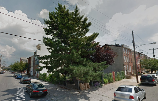 cohocksink garden past.png