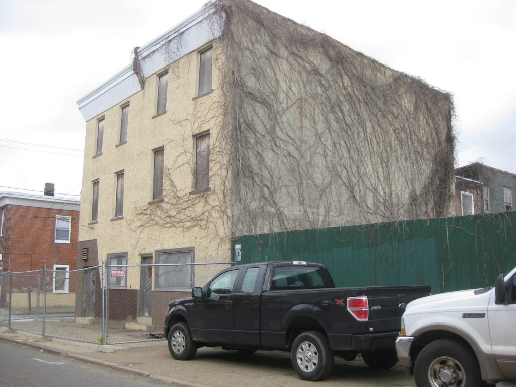 demo on poplar 1.JPG