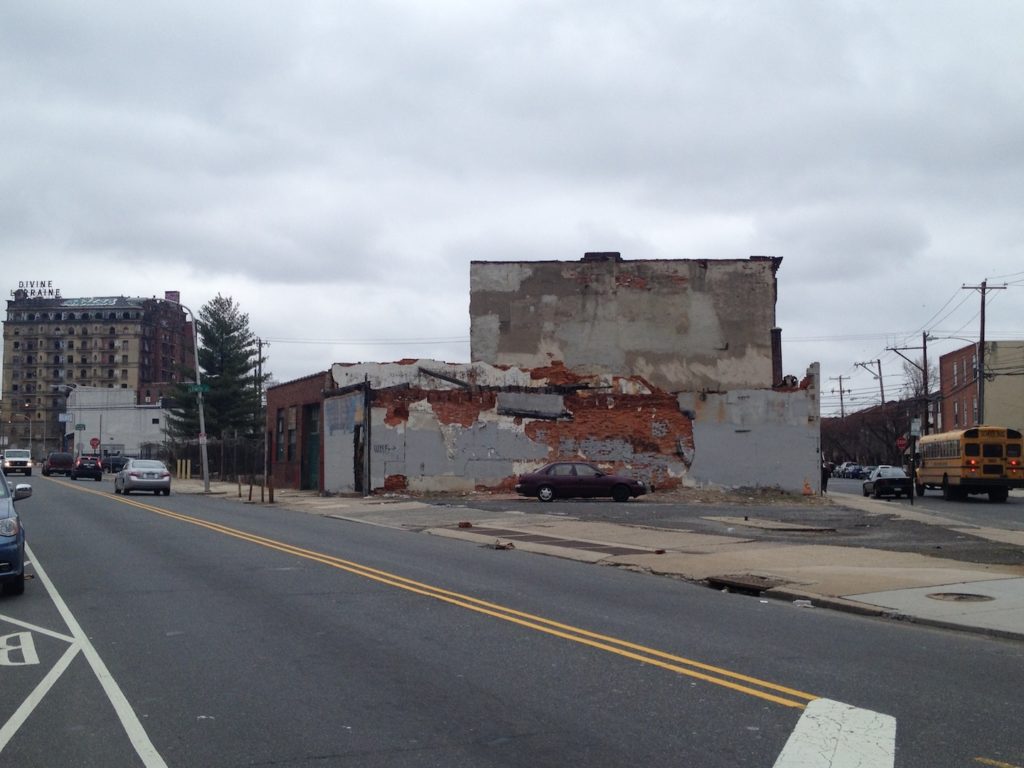 lemon ridge blight 1.jpg