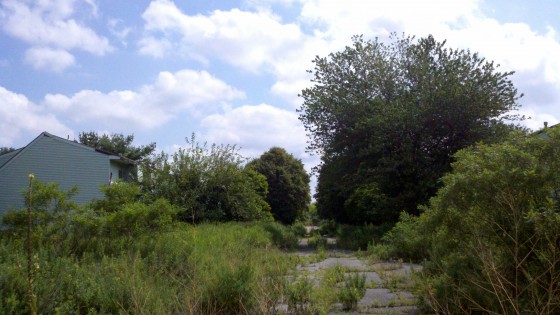 mustin looking down dupont ave