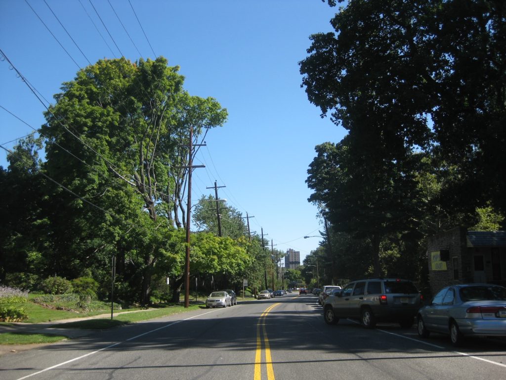 queen lane demo 1.JPG